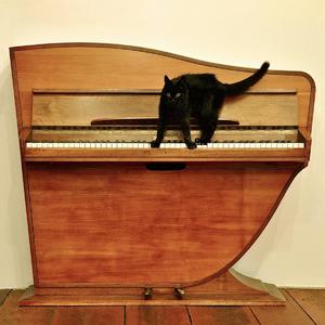 一字马扣出水来H
